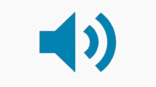 Betoog geweld
